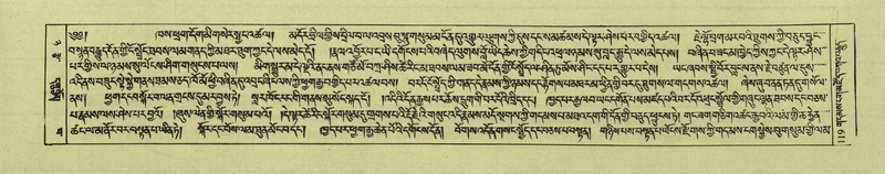 File:DNZ-Shechen-08-NYA-007.pdf