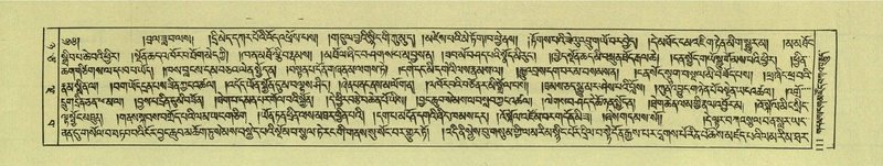 File:DNZ-Shechen-08-NYA-007.pdf