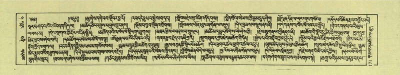 File:DNZ-Shechen-08-NYA-011.pdf