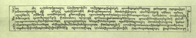 File:DNZ-Shechen-08-NYA-012.pdf