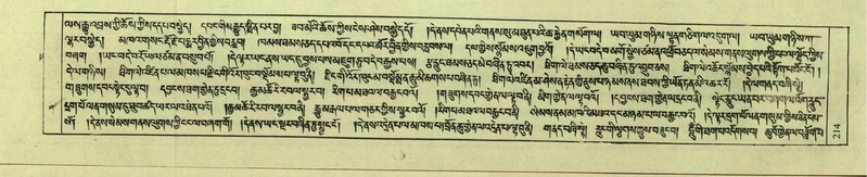 File:DNZ-Shechen-08-NYA-014.pdf