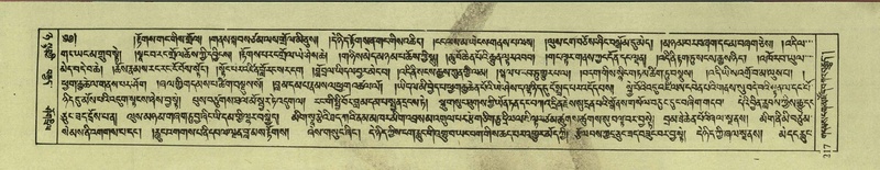 File:DNZ-Shechen-08-NYA-014.pdf