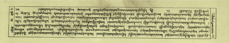 File:DNZ-Shechen-08-NYA-014.pdf