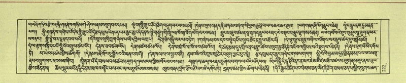 File:DNZ-Shechen-08-NYA-014.pdf