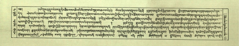 File:DNZ-Shechen-08-NYA-014.pdf