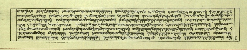 File:DNZ-Shechen-08-NYA-014.pdf