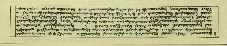 File:DNZ-Shechen-08-NYA-014.pdf