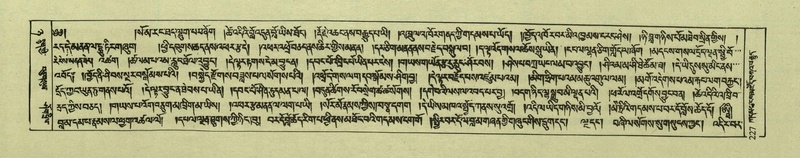 File:DNZ-Shechen-08-NYA-014.pdf