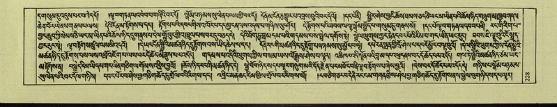 File:DNZ-Shechen-08-NYA-014.pdf