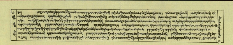 File:DNZ-Shechen-08-NYA-014.pdf