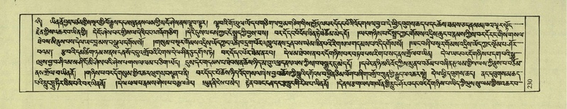File:DNZ-Shechen-08-NYA-014.pdf