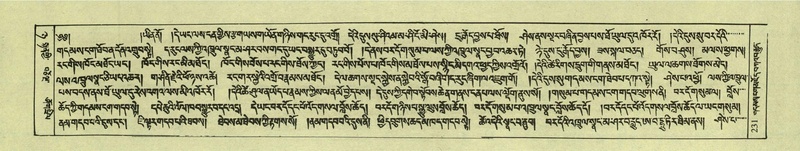 File:DNZ-Shechen-08-NYA-014.pdf