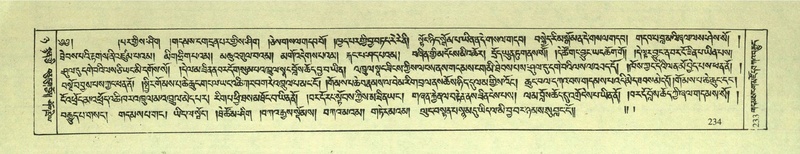 File:DNZ-Shechen-08-NYA-014.pdf