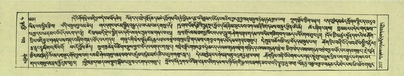 File:DNZ-Shechen-08-NYA-014.pdf