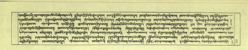 File:DNZ-Shechen-08-NYA-014.pdf