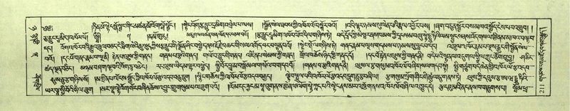 File:DNZ-Shechen-08-NYA-014.pdf