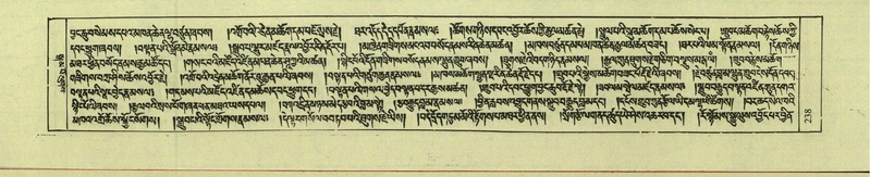 File:DNZ-Shechen-08-NYA-015.pdf