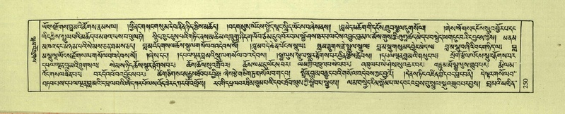 File:DNZ-Shechen-08-NYA-016.pdf