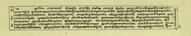 File:DNZ-Shechen-08-NYA-016.pdf