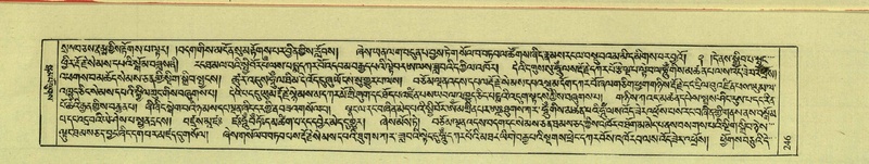 File:DNZ-Shechen-08-NYA-016.pdf