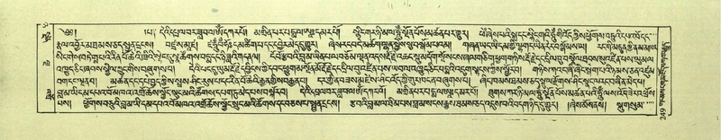 File:DNZ-Shechen-08-NYA-016.pdf