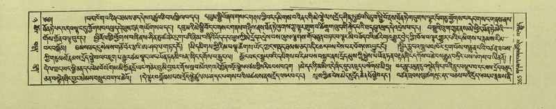 File:DNZ-Shechen-08-NYA-017.pdf