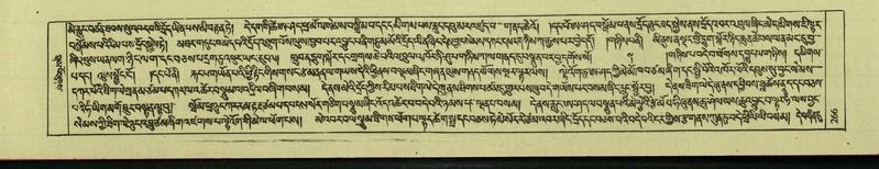 File:DNZ-Shechen-08-NYA-017.pdf