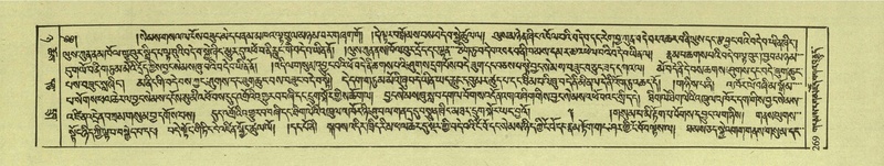 File:DNZ-Shechen-08-NYA-017.pdf