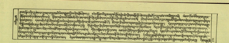 File:DNZ-Shechen-08-NYA-017.pdf