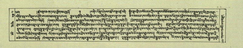 File:DNZ-Shechen-08-NYA-017.pdf