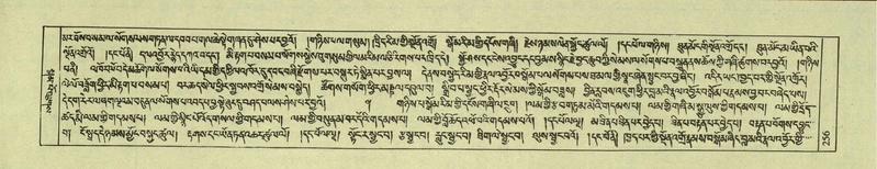 File:DNZ-Shechen-08-NYA-017.pdf