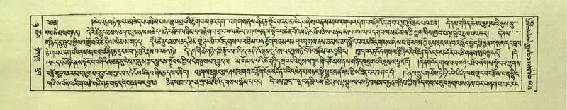 File:DNZ-Shechen-08-NYA-017.pdf