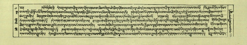 File:DNZ-Shechen-08-NYA-017.pdf