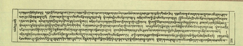 File:DNZ-Shechen-08-NYA-017.pdf