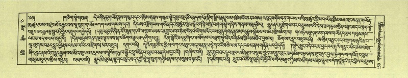 File:DNZ-Shechen-08-NYA-017.pdf