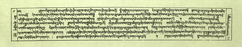 File:DNZ-Shechen-08-NYA-017.pdf