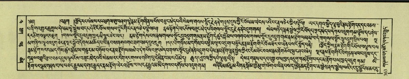 File:DNZ-Shechen-08-NYA-018.pdf