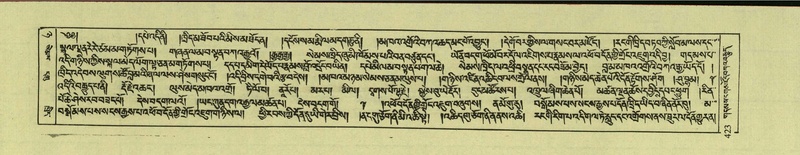 File:DNZ-Shechen-08-NYA-021.pdf