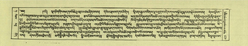 File:DNZ-Shechen-08-NYA-021.pdf