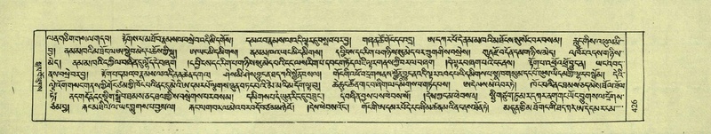 File:DNZ-Shechen-08-NYA-021.pdf