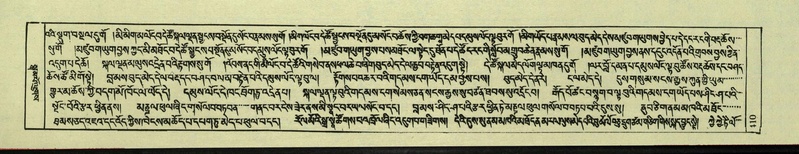 File:DNZ-Shechen-08-NYA-021.pdf