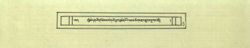 File:DNZ-Shechen-08-NYA-022.pdf