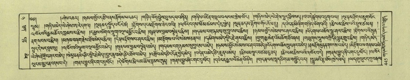 File:DNZ-Shechen-08-NYA-022.pdf