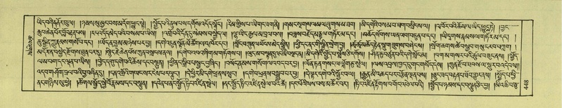 File:DNZ-Shechen-08-NYA-022.pdf