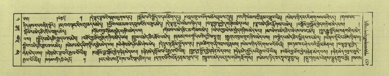 File:DNZ-Shechen-08-NYA-022.pdf