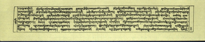 File:DNZ-Shechen-09-TA-013.pdf