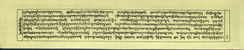 File:DNZ-Shechen-09-TA-025.pdf