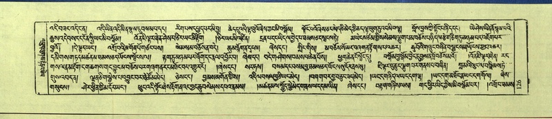 File:DNZ-Shechen-10-THA-010.pdf