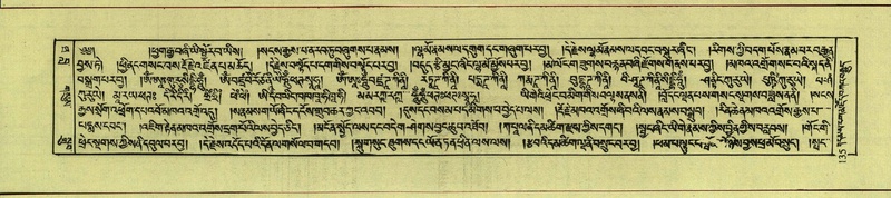 File:DNZ-Shechen-10-THA-011.pdf