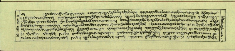 File:DNZ-Shechen-10-THA-014.pdf